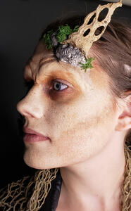 Application Example 2